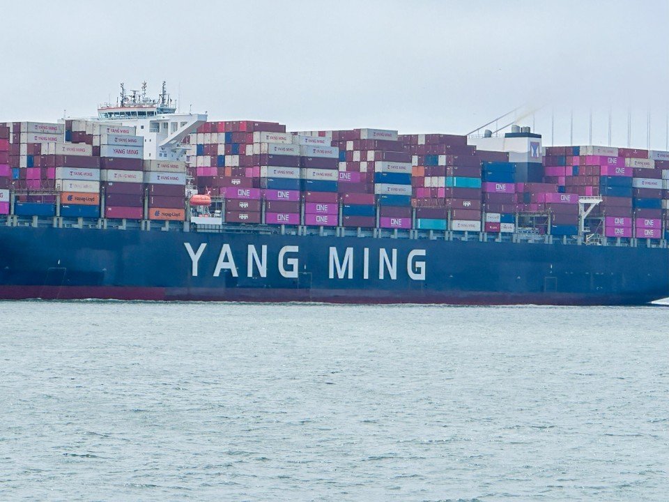 Container Types: International Guide
